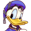 Donald Icon